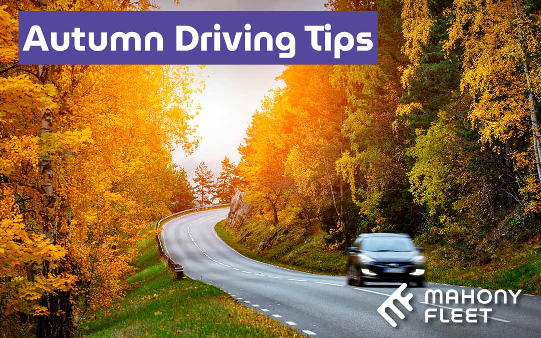 Autumn Safety Tips for Fleet Drivers – Safer Driving for Darker Evenings